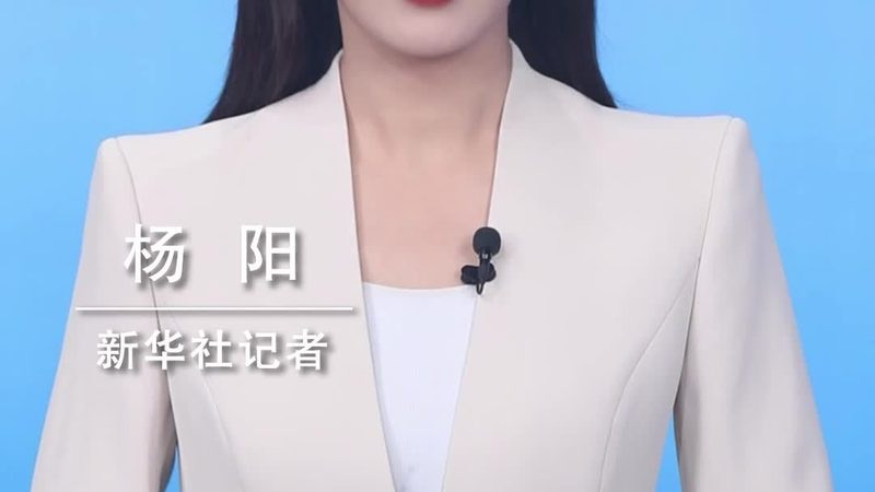 数据可视化报表制作平台：揭秘其优缺点与选择要点